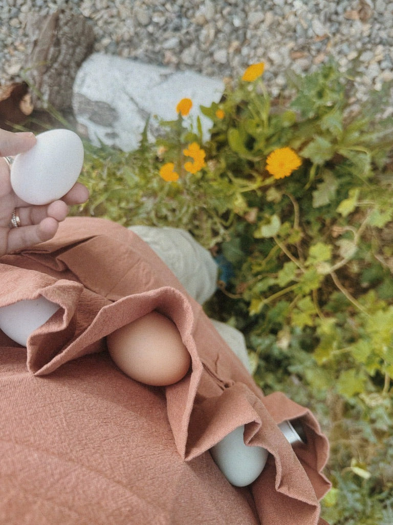 Linen Eggpron